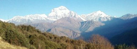 Mt. Dhaulagiri picture from poon Hill gorepani in annapurna region 
